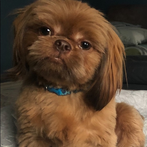 Meet your Posher, Drea - Picture 1 of 1